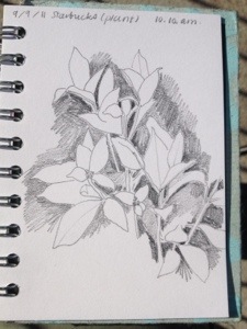 20120909-102501.jpg