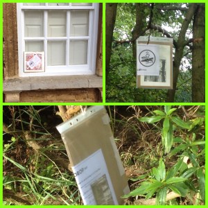 Processed with Moldiv