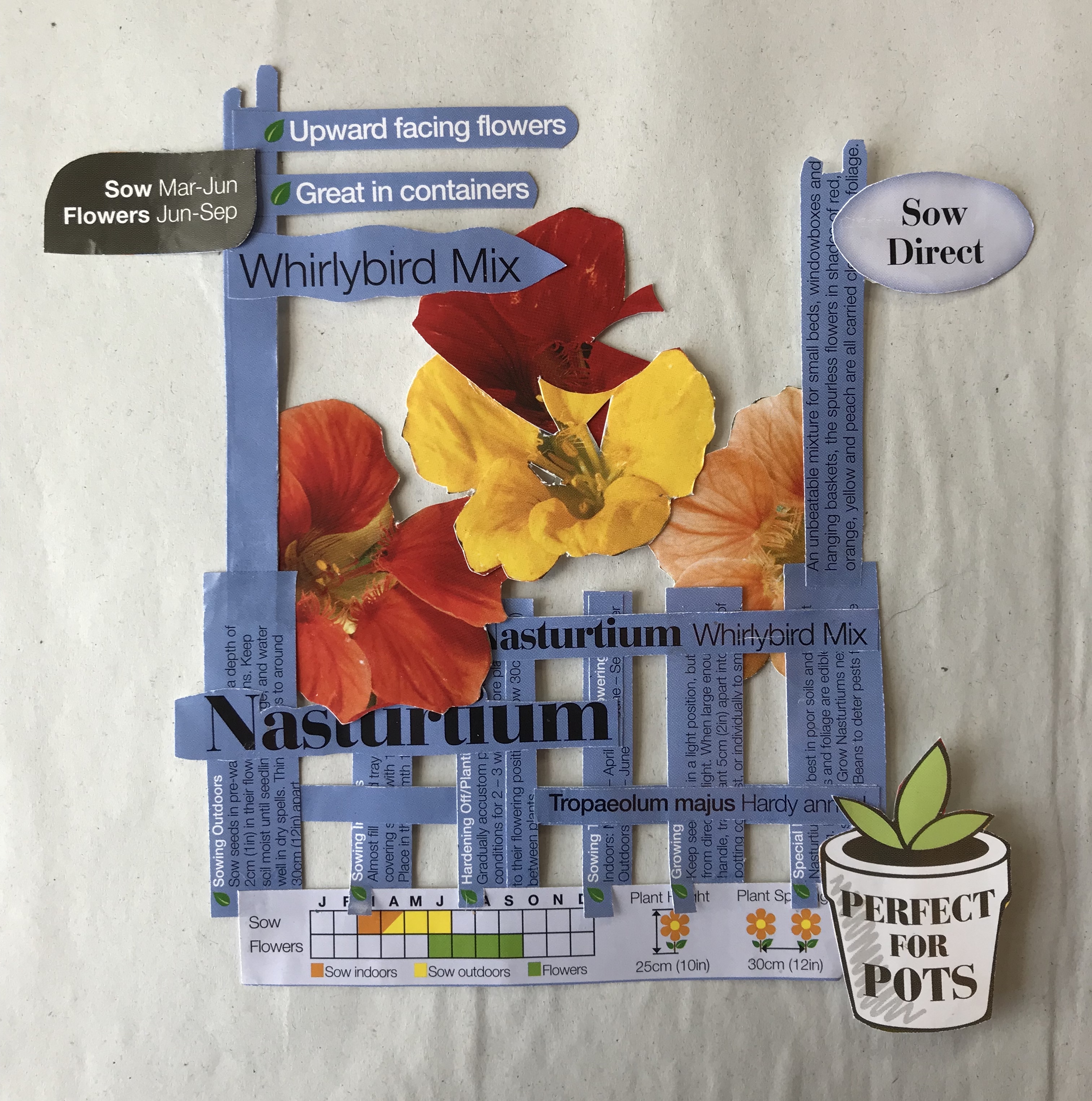 7DA0C05A-3BBB-4B0F-B81B-318092A2AEE2_1_201_a