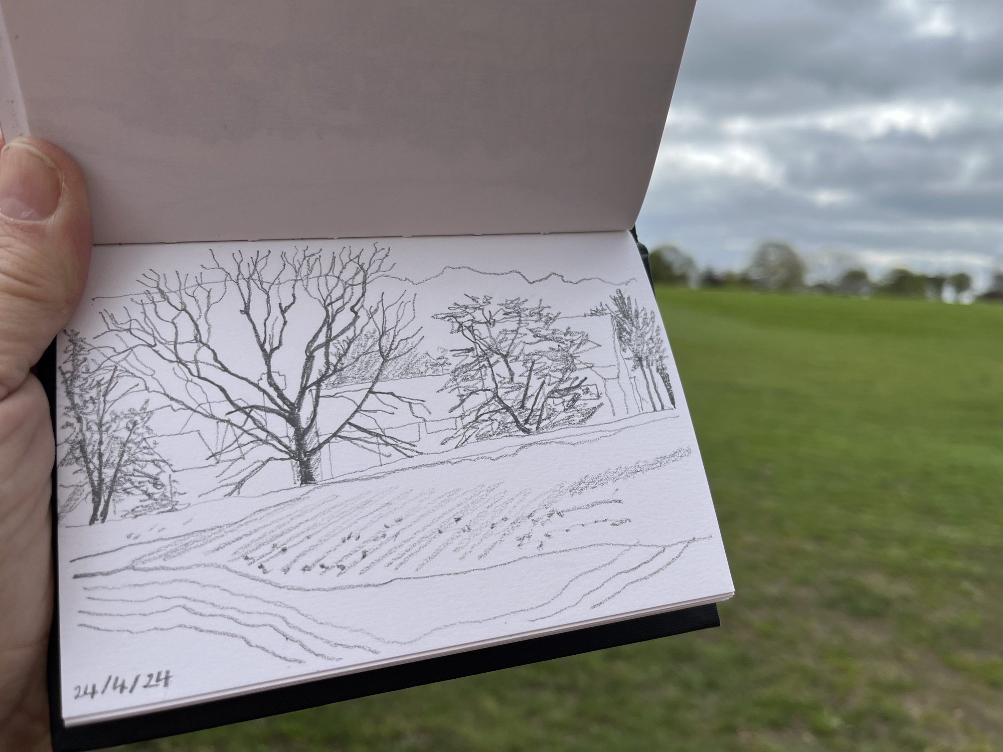 24th April 2024 | Jean a drawing a day